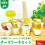 【ふるさと納税】〔伊東温泉で人気〕旬実堂 チーズケーキ3種セット×3(9個入) 14,000円