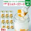 【ふるさと納税】〔伊東温泉で人気〕旬実堂 2層仕立てのチーズケーキ9個入 13,000円