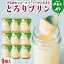 【ふるさと納税】〔伊東温泉で人気〕とろりプリン9個入 13,000円