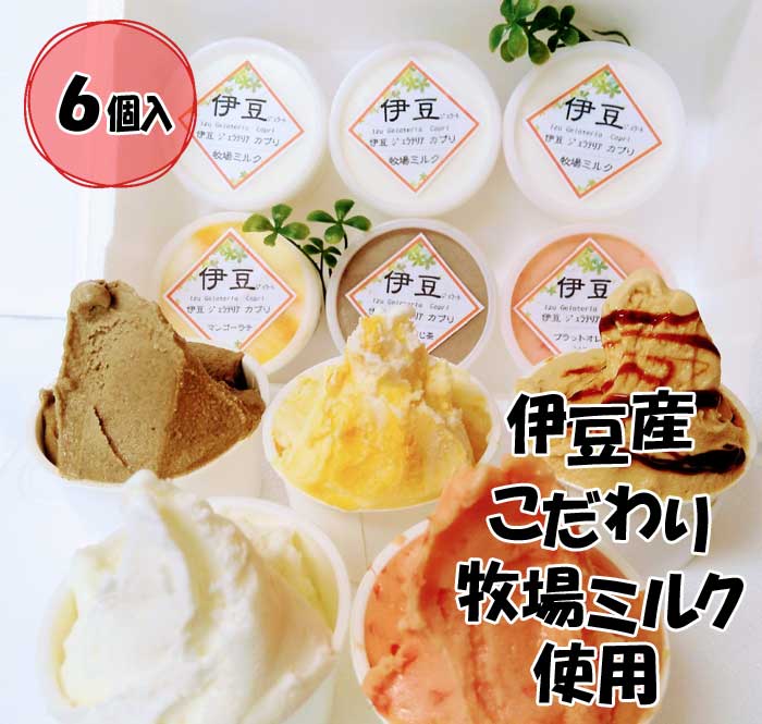 2位! 口コミ数「38件」評価「4.13」伊豆産 低温殺菌ミルクのこだわりジェラート6個セット カプリおまかせセット6個(4種類)