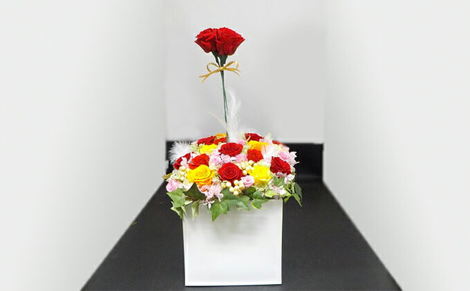 ふるさと納税 薔薇のアレンジメント 夏xl 植物 バラ 薔薇 お花 静岡県島田市 ふるさと納税 薔薇のアレンジメント 夏xl 植物 バラ 薔薇 お花 静岡県島田市