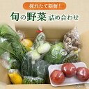 18位! 口コミ数「1件」評価「5」まんさいかん野菜詰合せ　【野菜・セット・詰合せ・野菜詰合せ】