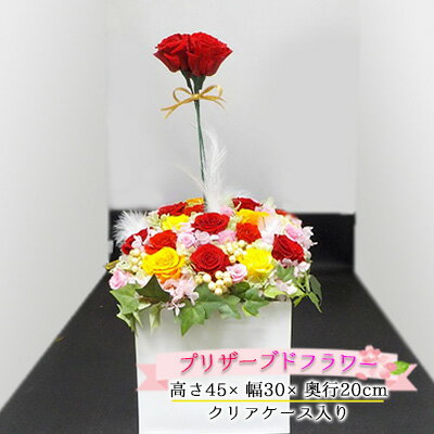 【ふるさと納税】薔薇のアレンジメント(夏XL)　【植物・バラ・薔薇・お花】