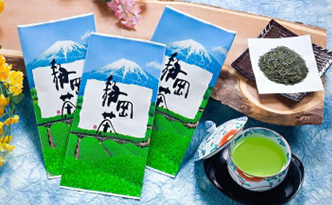 【ふるさと納税】静岡の深むし茶100g×10袋 飲料類 お茶