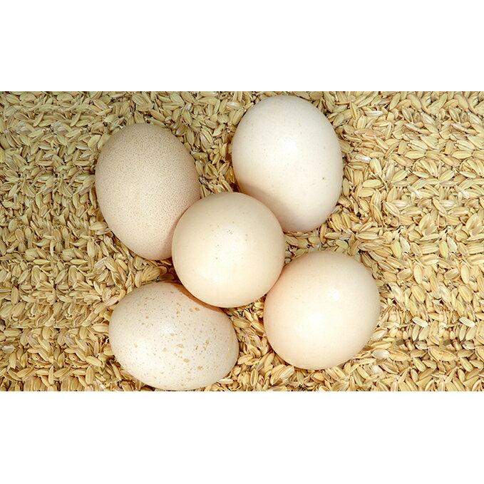 【ふるさと納税】鳥骨鶏の卵 10個 【 たまご 烏骨鶏 うこっけい にわとり 】 　【卵】