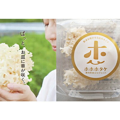 【ふるさと納税】ホホホタケ はなびらたけ 80g 10パック 【野菜・きのこ】 お届け：2022年5月9日以降順次発送となります 