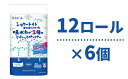 【ふるさと納税】エリエール　シャワートイレのためにつくった吸水力が2倍のトイレットペーパー 12ロール 6個セット　【雑貨・日用品・トイレットペーパー・トイレ用】　お届け：※寄附数の増加に伴い、通常よりもお届けまでにお時間を頂く場合がございます。 2