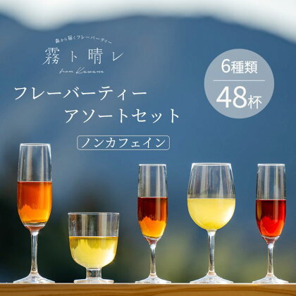 『霧ト晴レ』フレッシュフレーバーティー　ノンカフェインセット（6種類48杯分）　【 飲料類 お茶 おやすみ前 妊娠 授乳中 安心 カフェイン 植物由来 自然 やさしい ノンカフェイン 】