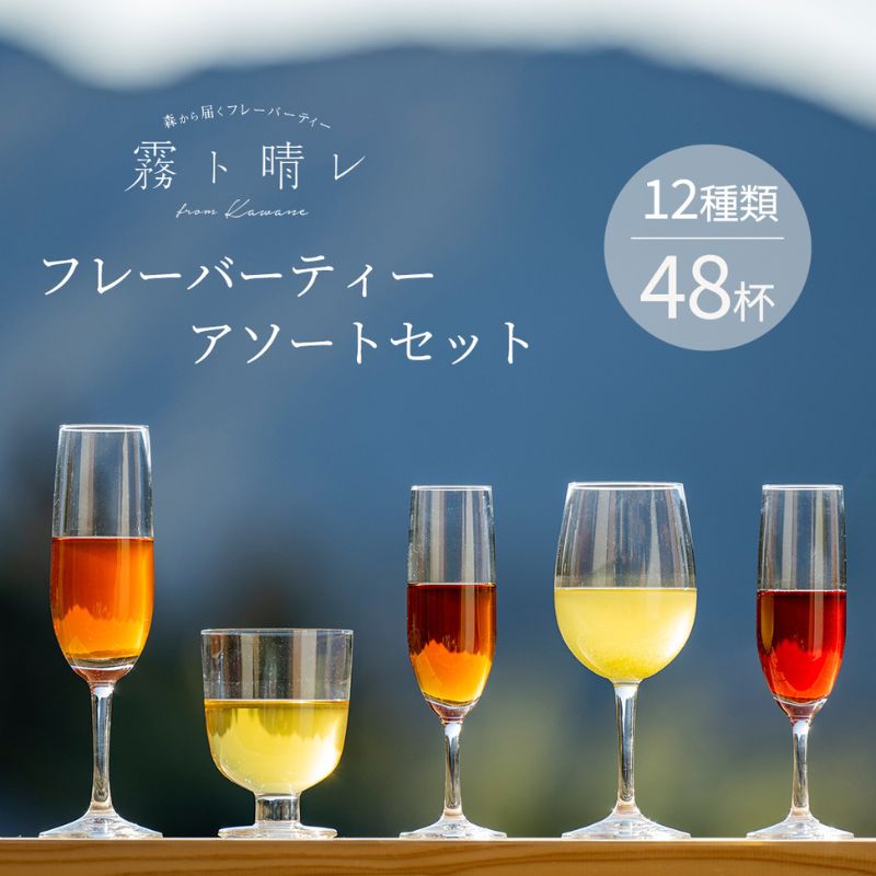 【ふるさと納税】『霧ト晴レ』フレッシュフレーバーティー　アソートセット（12種類48杯分）　【 飲料...