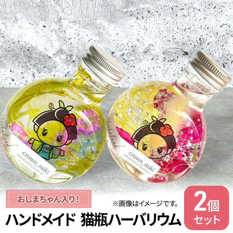 ڤդ뤵Ǽǡۥϥɥᥤ ǭ ϡХꥦ2ĥå ޤꡡ֥ꥶ֥ɥե ƥꥢ  ʪ  ˰...