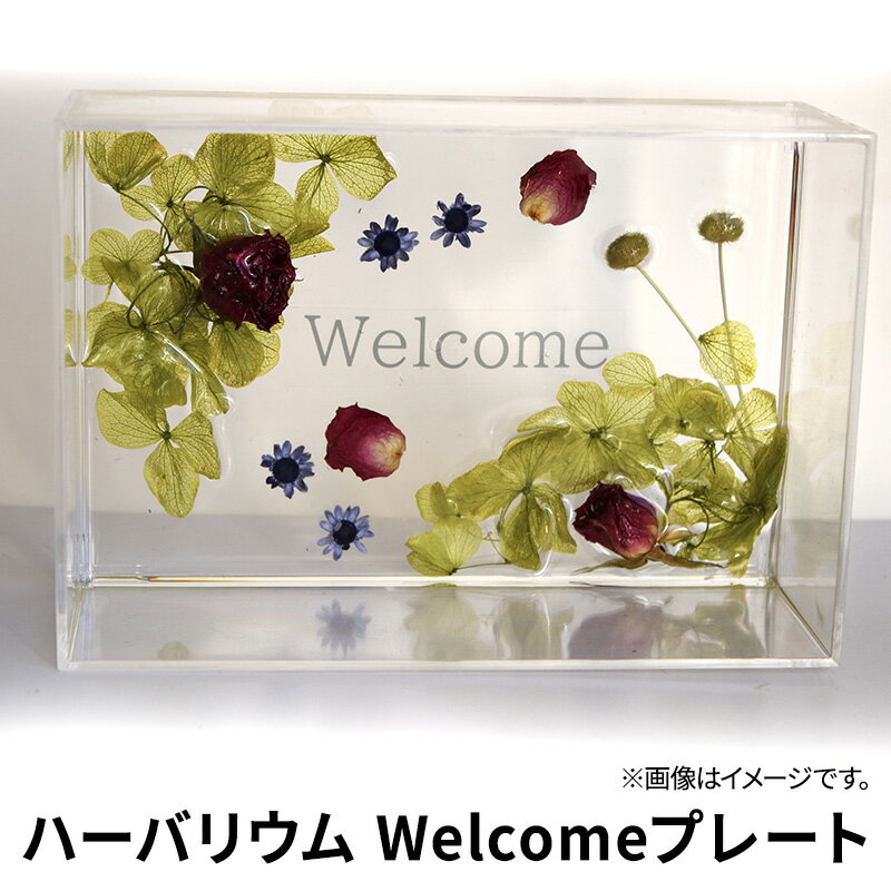 ハーバリウム Welcomeプレート インテリア ハンドメイド 雑貨 [ 小物 手作業 世界に一つ ハンドメイド作品 かわいい 贈り物 置物 ]