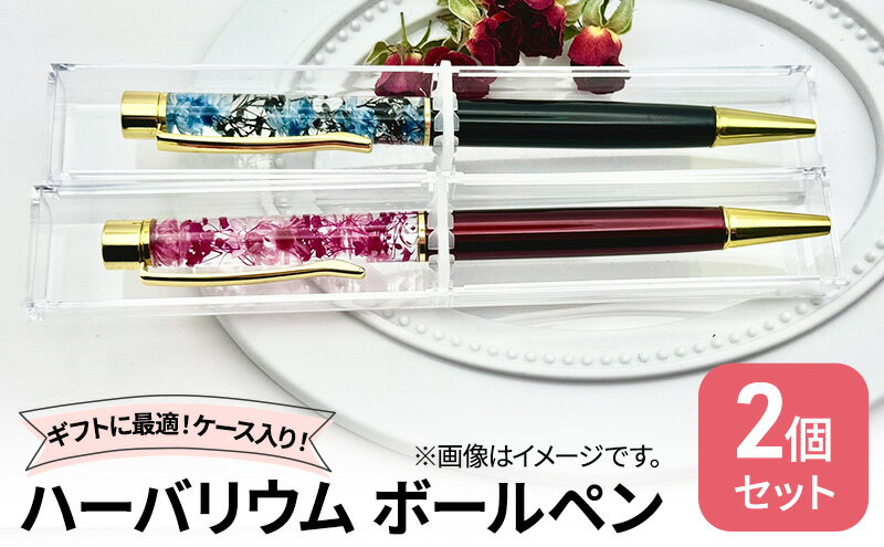 【ふるさと納税】ハーバリウム ボールペン2本セット ケース入り！　ハンドメイド 雑貨 ギフト プレゼント 小物 手作業 世界に一つ ハンドメイド作品 かわいい 贈り物 置物