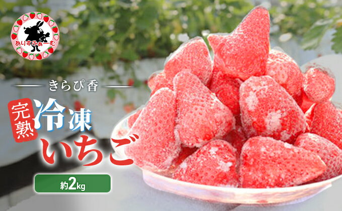 【ふるさと納税】いちご 冷凍 静岡 ありすふぁーむ 渡瀬の「きらぴ香」完熟冷凍いちご 約2kg 苺 イチゴ 【島田市】