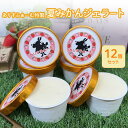 【ふるさと納税】みかん ジェラート セット 静岡 ありすふぁーむ 夏みかんジェラート 12個セット 夏みかん 冷凍【島田市】