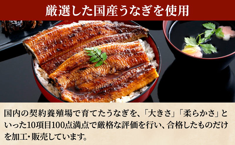 【ふるさと納税】うなぎ蒲焼 160g 選べる尾数 うなぎ ウナギ 鰻 蒲焼 蒲焼き冷凍 国産 大五 大五通商 静岡 島田市 f222097-shimada-10000918 静岡県島田市 サンプル画像2