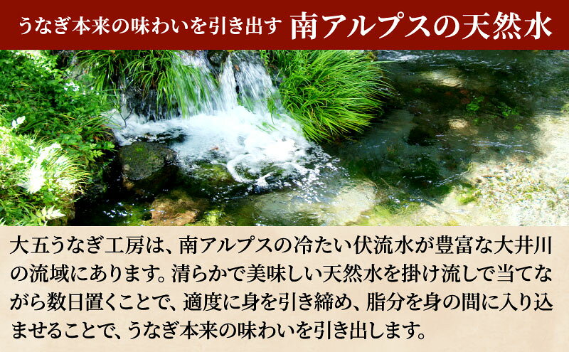 【ふるさと納税】うなぎ蒲焼 200g 選べる尾数 うなぎ ウナギ 鰻 蒲焼 蒲焼き冷凍 国産 大五 大五通商 静岡 島田市 f222097-shimada-10000921 静岡県島田市 サンプル画像3