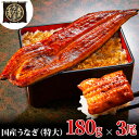 【ふるさと納税】うなぎ蒲焼 180g×3尾(540g) うなぎ ウナギ 鰻 蒲焼 蒲焼き冷凍 国産 大五 大五通商 静岡 島田市
