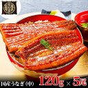 【ふるさと納税】うなぎ蒲焼 120g×5尾(600g) うなぎ ウナギ 鰻 蒲焼 蒲焼き冷凍 国産 大五 大五通商 静岡 島田市(4)