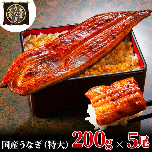 【ふるさと納税】うなぎ蒲焼 200g×5尾(1kg) うなぎ ウナギ 鰻 蒲焼 蒲焼き冷凍 国産 大五 大五通商 静岡 島田市 【ふるさと納税】うなぎ蒲焼 200g×5尾(1kg) うなぎ ウナギ 鰻 蒲焼 蒲焼き冷凍 国産 大五 大五通商 静岡 島田市