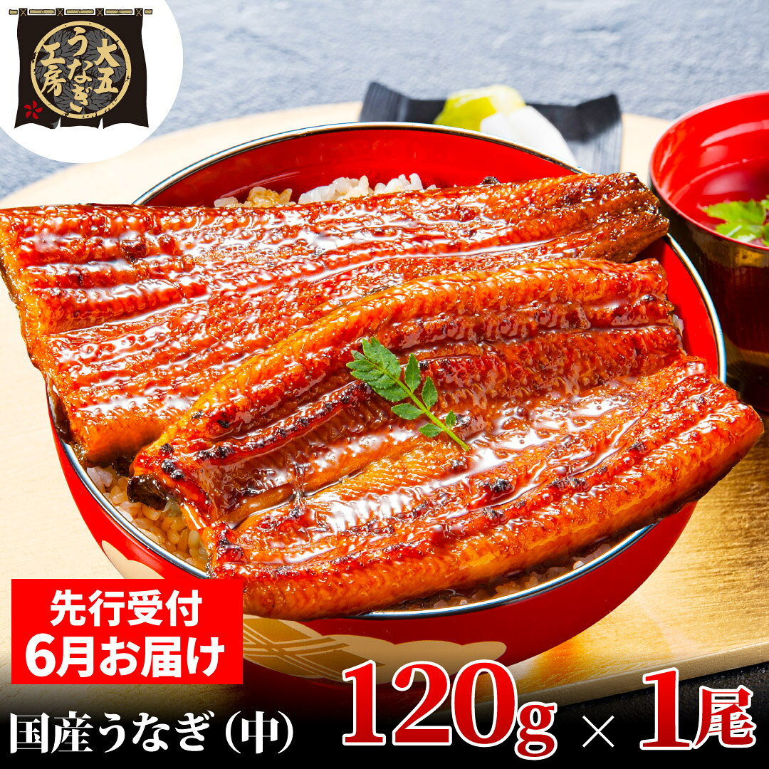 鰻 先行受付 6月上旬配送 120g×1尾 うなぎ蒲焼 蒲焼き 関東風 秘伝タレ 真空パック 加工食品 父の日 大五通商 静岡県島田市 ギフト 贈り物 贈答用 お届け：2025年6月2日～2025年6月10日