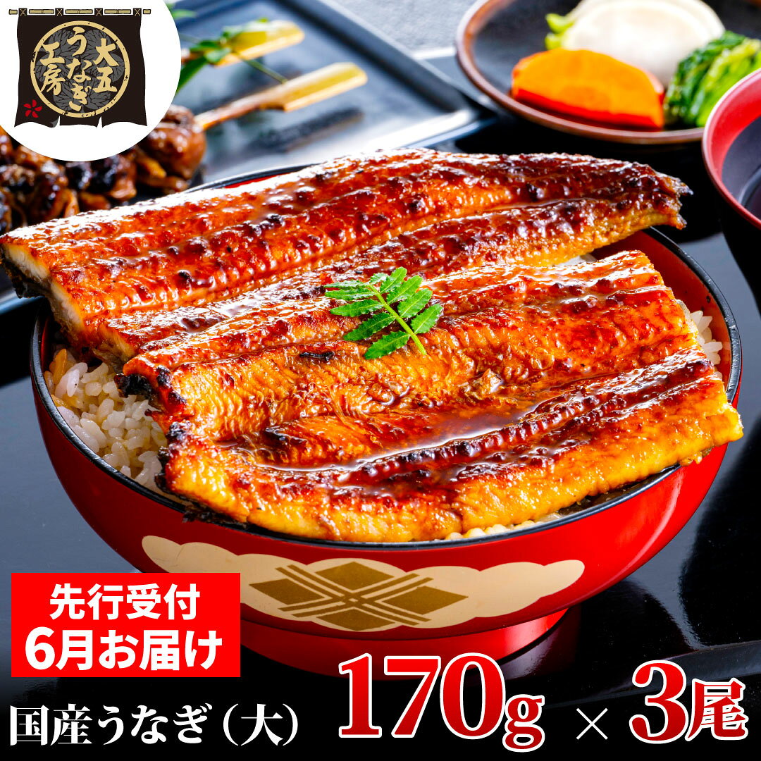 鰻 先行受付 6月上旬配送 170g×3尾 510g うなぎ蒲焼 蒲焼 蒲焼き 真空パック 鰻蒲焼 国産 父の日 うなぎ 大五通商 静岡県島田市 贈り物 ギフト グルメ お届け：2025年6月2日～2025年6月10日