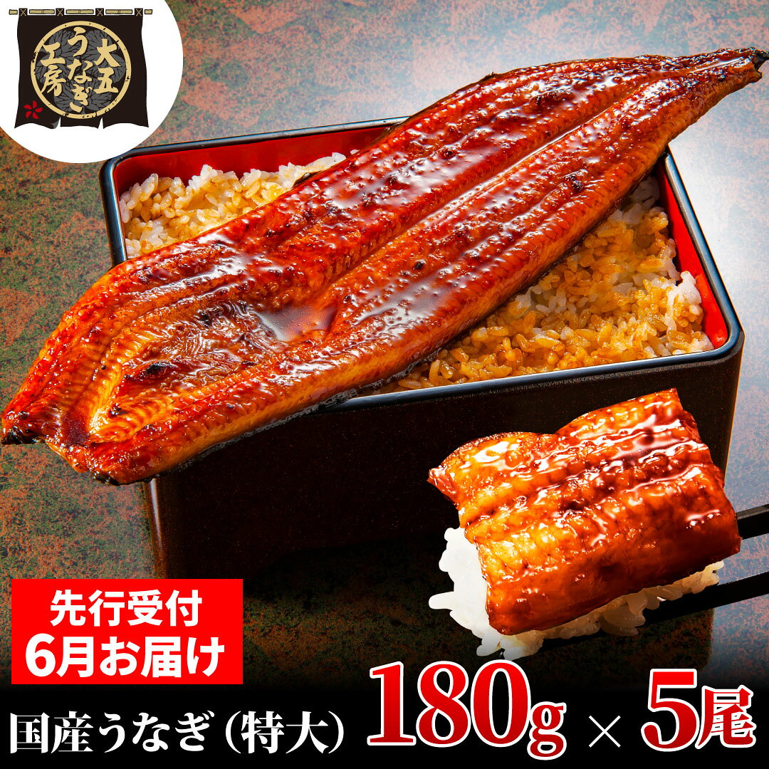 鰻 先行受付 6月上旬配送 180g×5尾 900g うなぎ蒲焼 蒲焼 国産 関東風真空パック 父の日 うなぎ 大五通商 静岡県島田市 ギフト 贈り物 お届け：2025年6月2日～2025年6月10日