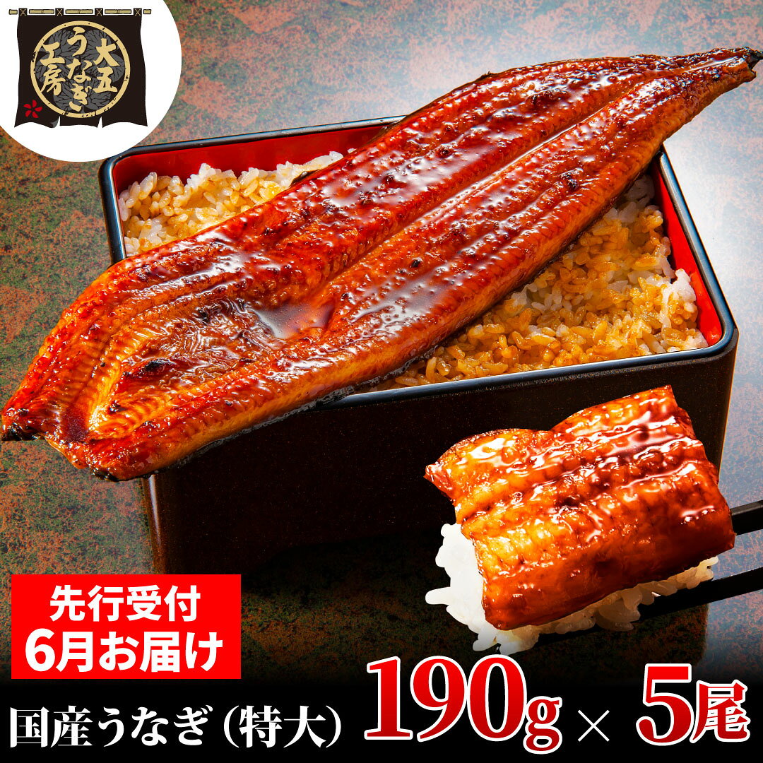 鰻 先行受付 6月上旬配送 190g×5尾 950g うなぎ蒲焼 蒲焼き 父の日 大五通商 静岡県島田市 ギフト 贈り物 送料無料 お届け：2025年6月2日～2025年6月10日
