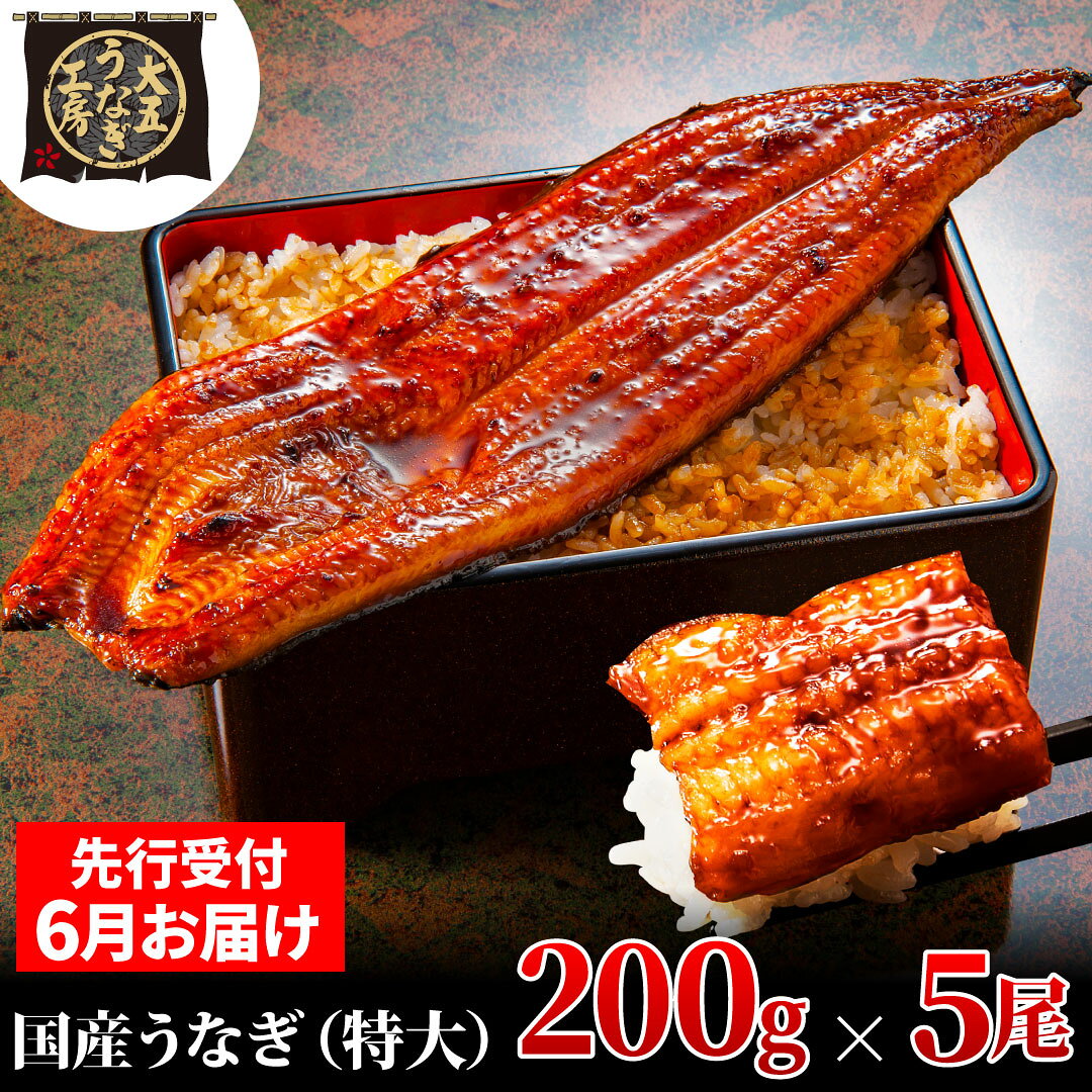 鰻 先行受付 6月上旬配送 200g×5尾 1kg うなぎ蒲焼 蒲焼き 創業180年 老舗 秘伝のタレ 関東風 蒸し 真空パック たれ山椒付き 自宅用 父の日 大五通商 静岡県島田市 贈り物 ギフト 送料無料 お届け：2025年6月2日～2025年6月10日