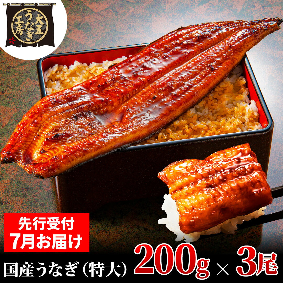 鰻 先行受付 7月上旬配送 200g×3尾 600g うなぎ蒲焼 蒲焼き 土用丑の日 真空パック 秘伝のタレ 関東風 大五通商 静岡県島田市 大五うなぎ工房 お届け：2025年7月1日～2025年7月10日