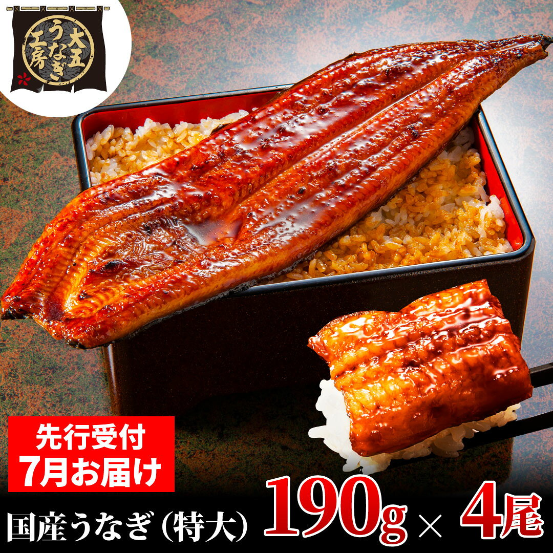 鰻 先行受付 7月上旬配送 190g×4尾 760g うなぎ蒲焼 蒲焼き 土用丑の日 真空パック 秘伝のタレ 関東風 山椒付き 大五通商 静岡県島田市 お届け：2025年7月1日～2025年7月10日