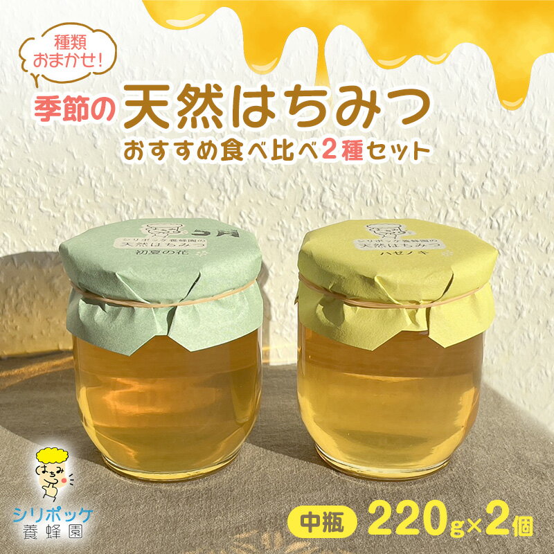 【ふるさと納税】種類おまかせ!季節の天然はちみつ おすすめ食べ比べ2種セット(中瓶220g×2個)ハチミツ 蜂蜜 セット 島田市 静岡県