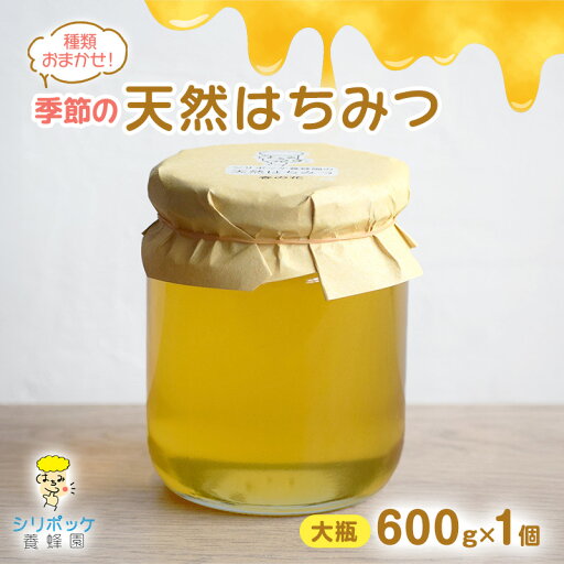 【ふるさと納税】種類おまかせ!季節の天然はちみつ(大瓶600g×1個)ハチミツ 蜂蜜 島田市 静岡県 【ふるさと納税】種類おまかせ!季節の天然はちみつ(大瓶600g×1個)ハチミツ 蜂蜜 島田市 静岡県