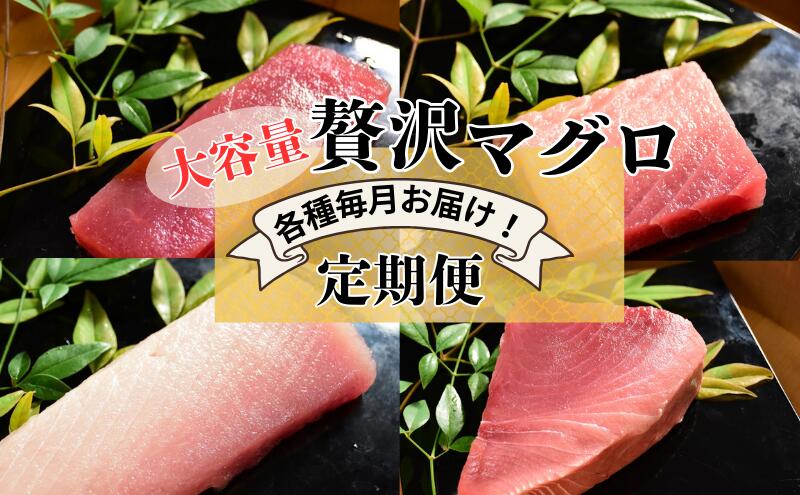 【ふるさと納税】【計4回お届け】贅沢マグロ定期便【冷凍】メバチマグロ上赤身6柵・中とろ4柵・ビンチョウマグロ脂柵6柵・天然ミナミマグロ上赤身脂450g×2