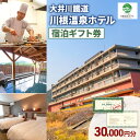 【ふるさと納税】大井川鐵道川根温泉ホテル ふるさと納税宿泊ギフト券 30,000円分 チケット ギフト券 宿泊 川根温泉 SL 島田市 静岡県