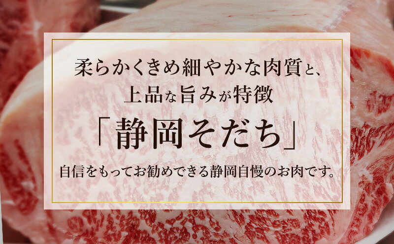 【ふるさと納税】ハンバーグ 【特選和牛静岡そだち】サーロイン入り至高のハンバーグ 180g×2個 ソース付き 上品 旨み 静岡そだち サーロイン おかず 肉料理 ごちそう 島田市 静岡県 f222097-shimada-10001227 静岡県島田市 サンプル画像3