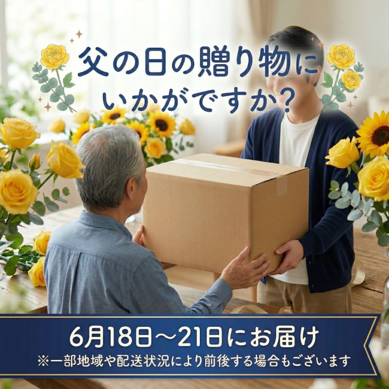【ふるさと納税】父の日ギフト エリエール トイレットティシューフラワープリント12ロール×6セット（ダブル） 合計72ロール　日用品 消耗品 生活用品 トイレ トイレットペーパー 静岡県 島田市　お届け：2026年6月18日～6月21日まで