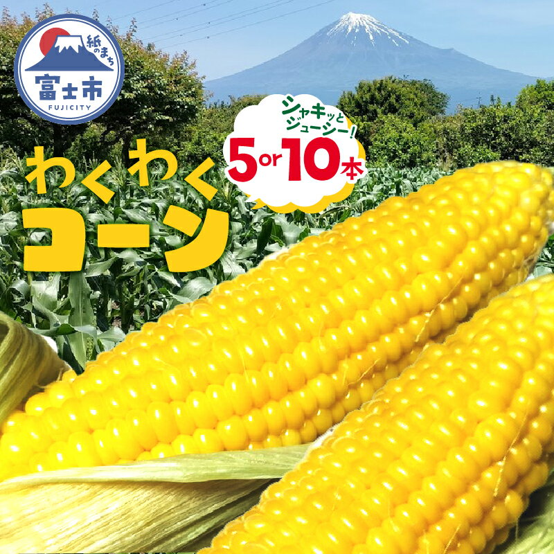 トウモロコシ わくわくコーン 5本/10本 期間限定 数量限定 糖度15度以上 ジューシー 甘い スイートコーン 野菜 新鮮 朝採り クール便 冷蔵発送 静岡県 富士市 [6月中旬〜7月中旬頃に順次発送] [sf001-094] [sf001-341]