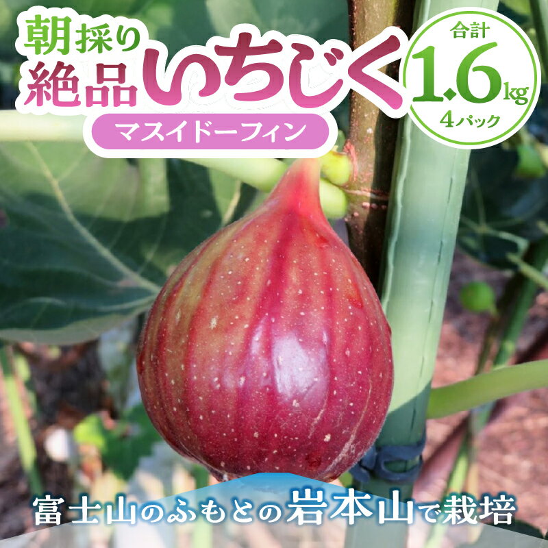 まとめ買い ブルーベリー ホール 500g×3袋 冷凍 フルーツ 業務用 スムージー 手作りジャム 製菓 クレープ ウィズメタックフーズ デザート トッピング