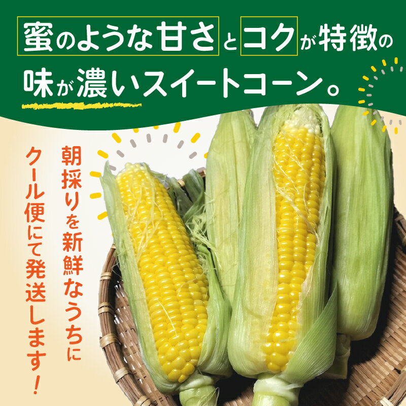 【ふるさと納税】 トウモロコシ わくわくコーン 5本/10本 期間限定 数量限定 糖度15度以上 ジューシー 甘い スイートコーン 野菜 新鮮 朝採り クール便 冷蔵発送 静岡県 富士市 【6月中旬～7月中旬頃に順次発送】 [sf001-094] [sf001-341]