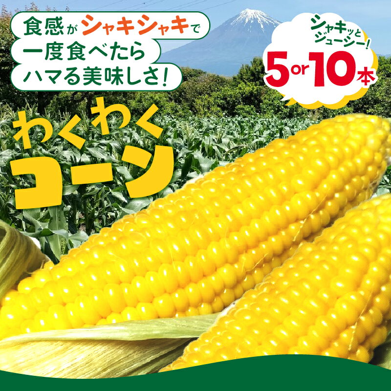【ふるさと納税】 トウモロコシ わくわくコーン 5本/10本 期間限定 数量限定 糖度15度以上 ジューシー 甘い スイートコーン 野菜 新鮮 朝採り クール便 冷蔵発送 静岡県 富士市 【6月中旬～7月中旬頃に順次発送】 [sf001-094] [sf001-341]