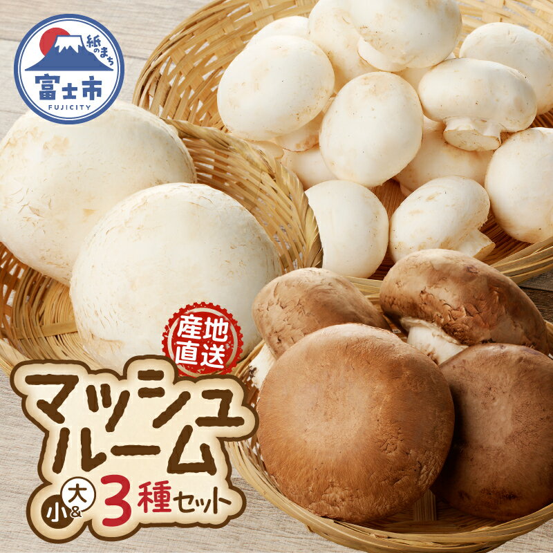 【ふるさと納税】 マッシュルーム 産地直送 長谷川農産 3種 セット 新鮮 ホワイト ブラウン ジャイアント ポットベラ 無農薬 無漂白 生でも食べられる ビタ...
