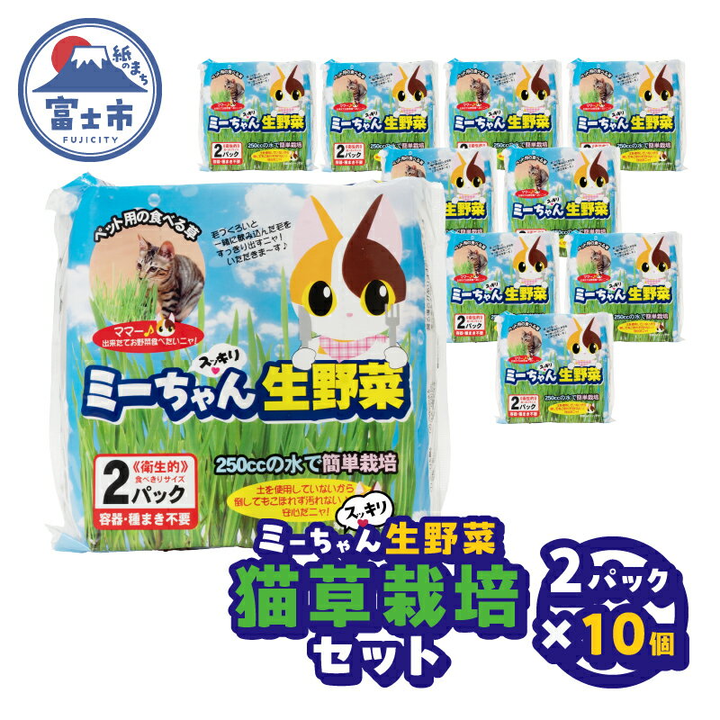 猫草栽培セット ミーちゃんスッキリ 生野菜 2パック×10個 ねこくさ 毛玉対策 猫 ペット ペット用品 お手入れ用品 植物 富士市 [sf002-386]