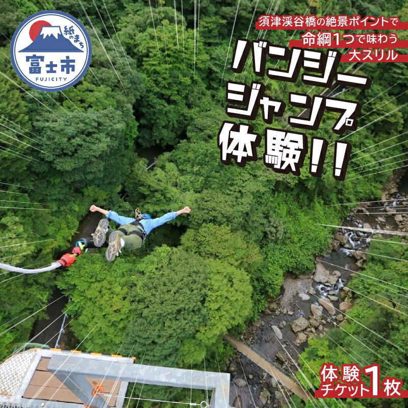 【ふるさと納税】バンジージャンプ　体験チケットのサムネイル