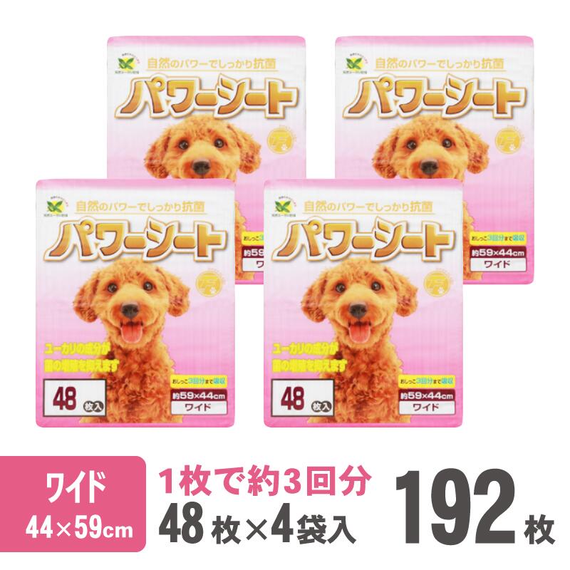 �ڤդ뤵��Ǽ�ǡ� ����� ��3�� 3������ ���٤륵���� �ѥ������ �쥮��顼384��(96���4��) / �磻��192��(48���4��) �ڥåȥ����� �ѡ��ץ� ���� Ķ�ۼ� ŷ���桼������ʬ ���� �ý� �ȥ��� �� ưʪ �ڥå����� �ȥ��쥷���� ������ �ٻλ� [sf024-025] [sf024-026]