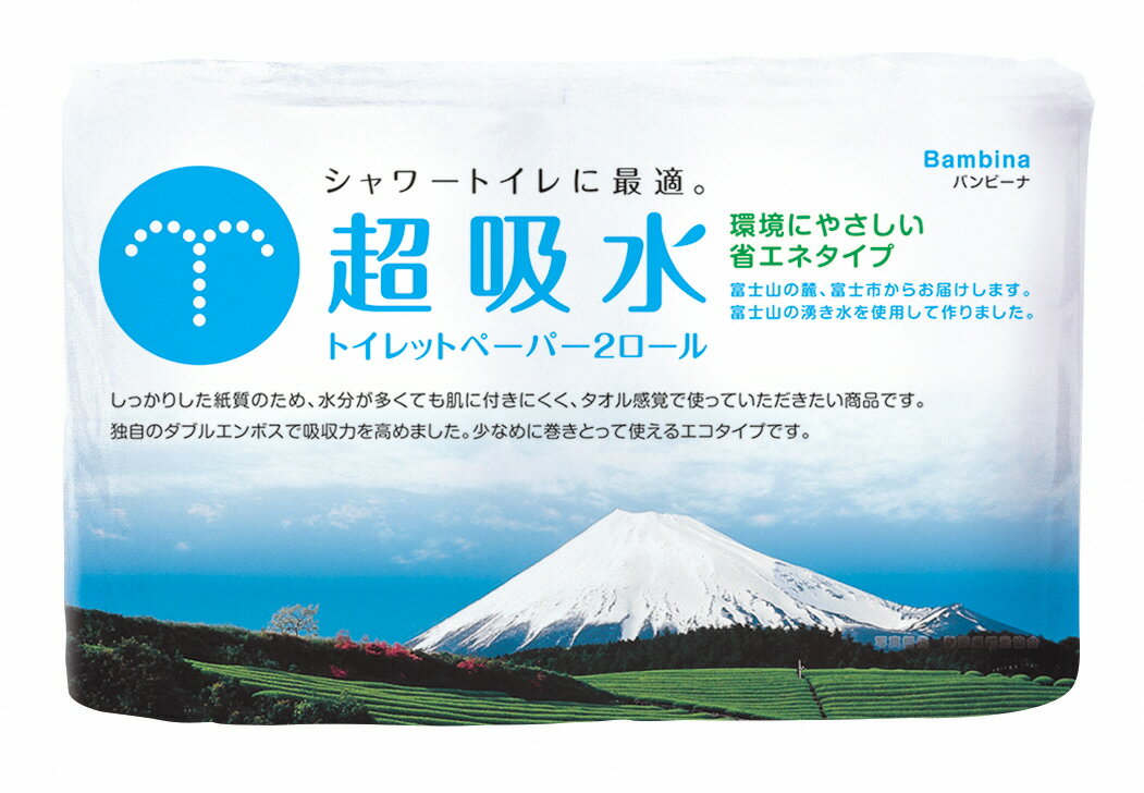 【ふるさと納税】1558　バンビーナ超吸水2R入　60パック
