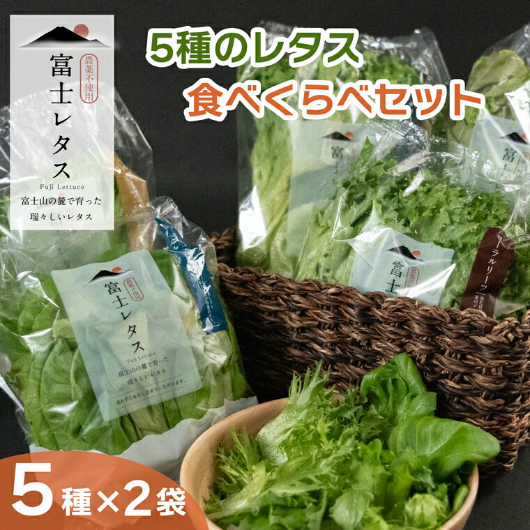 【ふるさと納税】富士レタス 新鮮レタス5種類×2株 食べ比べセット 富士山の伏流水 栽培期間中農薬不使用 新鮮 グリーンリーフ レッドリーフ コーラルリーフ フリルリーフ サラダ菜 長持ち 高い栄養 水耕栽培 小林クリエイト アグリ事業部 静岡県 富士市 (1517)