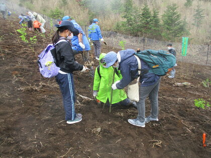 1263富士山を「守る」〜富士山麓ブナ林創造事業〜C