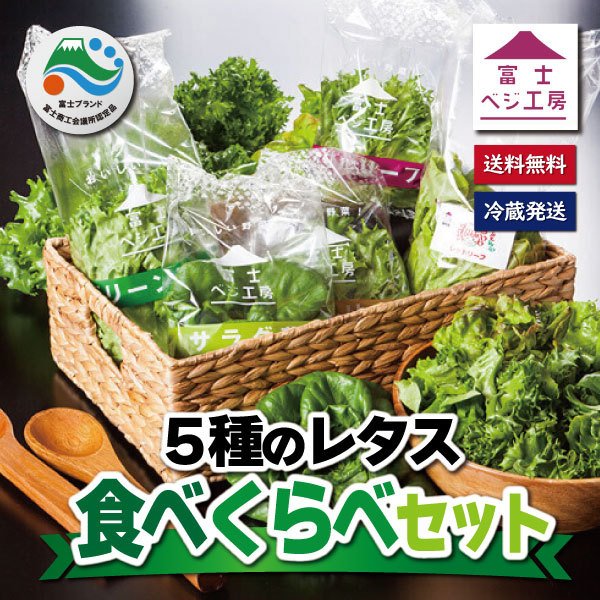 【ふるさと納税】1517富士山の伏流水で農薬を使わず育てた新鮮レタス5種類×2株セット