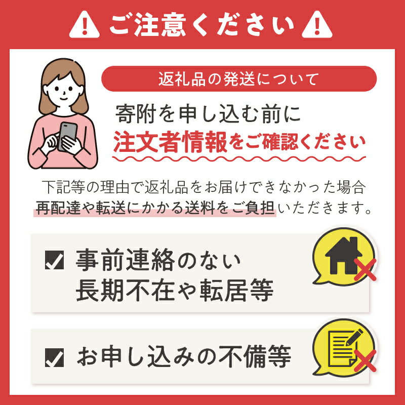 【ふるさと納税】1257ゼロから富士山頂に「挑む」〜富士山登山ルート3776事業〜B