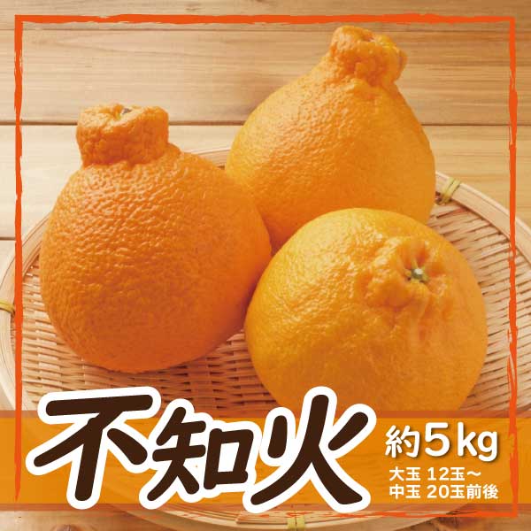 【ふるさと納税】1002みかん「不知火」5kg